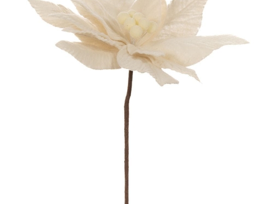 Κλαδί Πικ Αλεξανδρινό 86319 30x50cm White