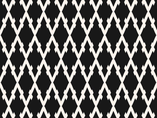 Χαλί EXFAB270 Black-White Conceptum Hypnose 100X150cm