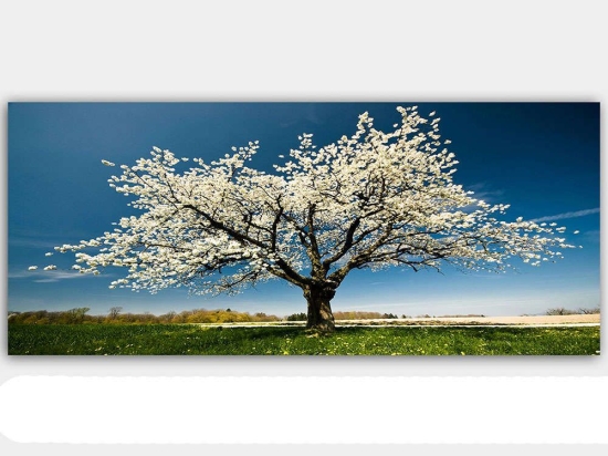 Πίνακας Καμβάς 451ERN1232 120x50cm Multi Wallity Οριζόντιοι Καμβάς