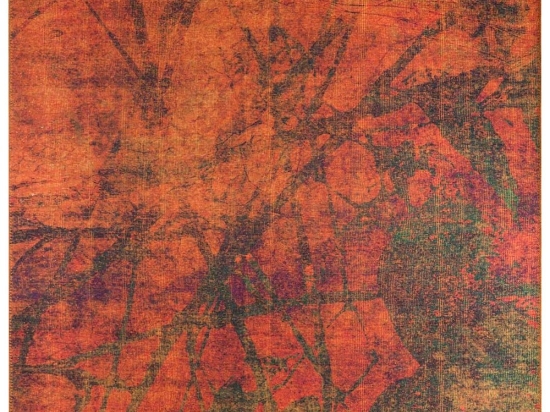 Χαλί Fusion AL 09 473RTP2709 Orange-Green Conceptum Hypnose 140X190cm