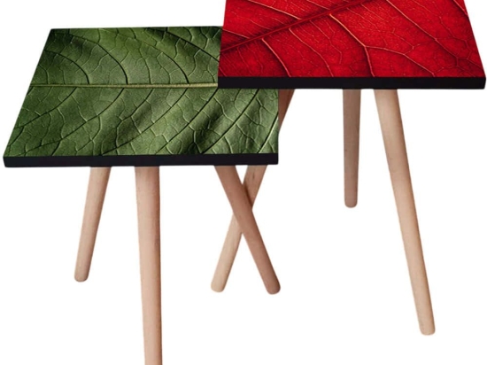 Τραπεζάκια Βοηθητικά (Σετ 2Τμχ) 481LNA2206 35x35x47/42cm Green-Red