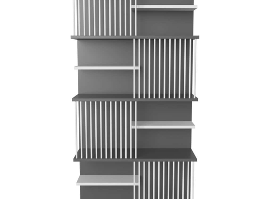 Βιβλιοθήκη Arya 875ZNA4606 80x24,6x160cm Anthracite-White