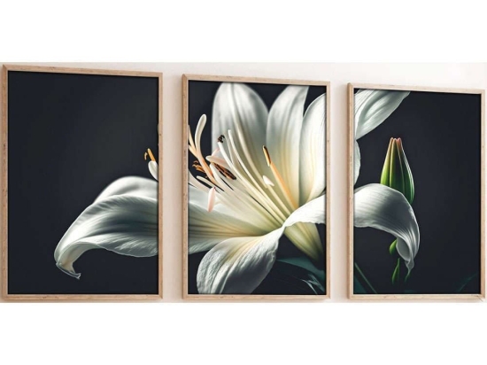 Κάδρα (Σετ 3Τμχ) 693BSE1582 50x70cm Multi Wallity Κάθετοι Mdf,Ξύλο