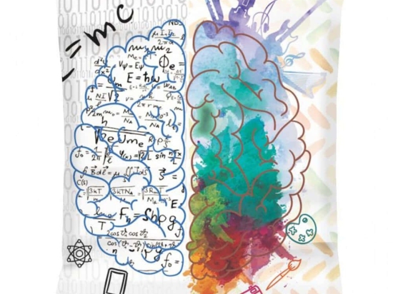 Πουφ - Μαξιλάρα Αδιάβροχο Giant EMC2 Brain 248FRN1594 140x30x180cm Multi