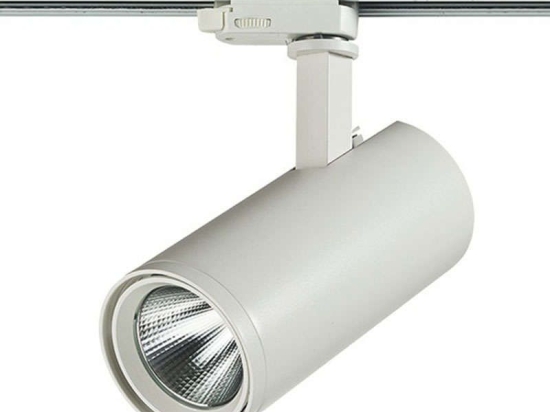 Σποτ Ράγας 18306 4000K 2475Lm 15W White Μέταλλο