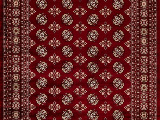 Χαλί Ariana 880 Red Obsession 300X400cm