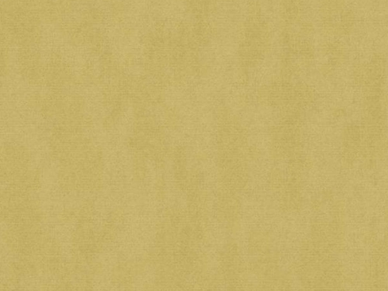 Ταπετσαρία Τοίχου Magnifique Ugepa 12025952 53x1005cm Gold New Plan
