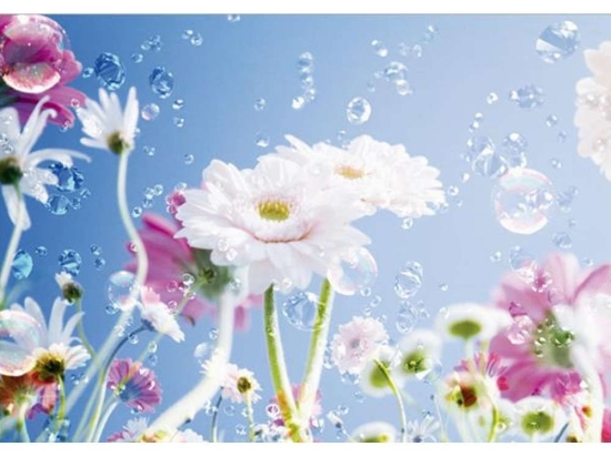 Φωτοταπετσαρία Dstandard A&G 0084Ft 360x254cm Ciel-White New Plan