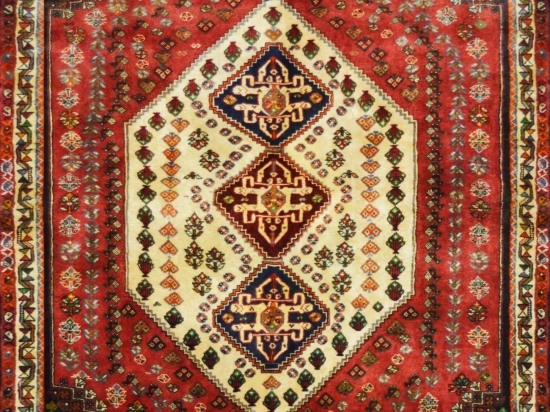 Χειροποίητο Χαλί Shiraz 55717/11850 255X171 255X171cm