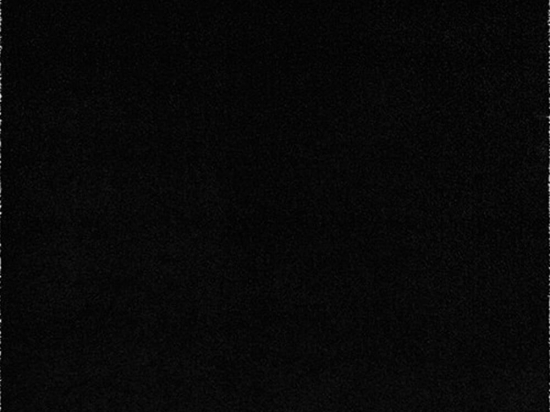 Χαλί Armonia 71151/030 Black Carpet Couture 200X290cm