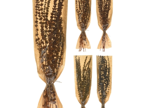 ΦΥΛΛΑ ΑΠΟΞΗΡΑΜΕΝΑ ARTELIBRE PALANG GRASS ΔΕΜΕΝΑ ΣΕ ΧΑΡΤΙΝΗ ΘΗΚΗ ΣΕ 4 ΠΟΙΚΙΛΙΕΣ