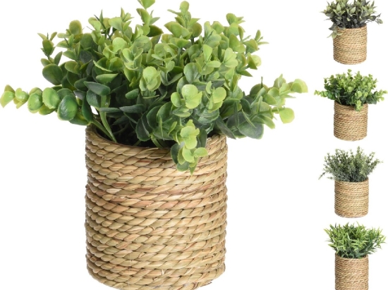 ΦΥΤΟ ΤΕΧΝΗΤΟ ARTELIBRE 23CM ΣΕ ΨΑΘΙΝΟ ΚΑΛΑΘΙ  11X11.5CM ΣΕ 4 ΠΟΙΚΙΛΙΕΣ