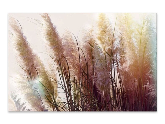 ΠΙΝΑΚΑΣ ΣΕ ΚΑΜΒΑ "SOFT PAMPAS" MEGAPAP ΨΗΦΙΑΚΗΣ ΕΚΤΥΠΩΣΗΣ 125X80X3ΕΚ.