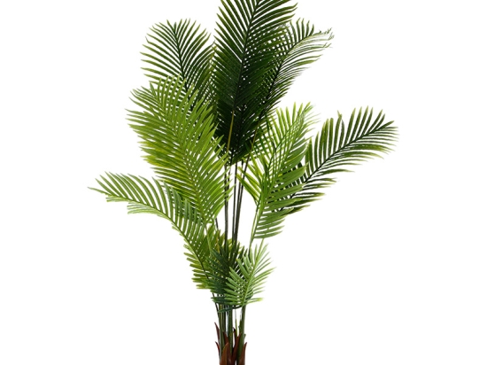 ΦΥΤΟ ΣΕ ΓΛΑΣΤΡΑ GREEN9 PAKOWORLD 114X105X180ΕΚ