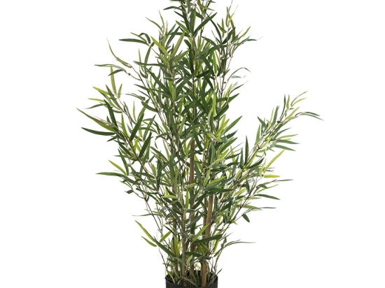 ΦΥΤΟ ΣΕ ΓΛΑΣΤΡΑ GREEN10 PAKOWORLD 63X55X90ΕΚ