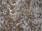 ΚΗΡΟΠΗΓΙΟ ARTELIBRE ΚΑΦΕ ΓΥΑΛΙ 11X11X11CM