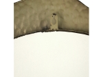 ΚΑΘΡΕΠΤΗΣ ARTELIBRE ΚΑΦΕ ΜΕΤΑΛΛΟ 79X2.5X82CM