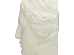 ΔΙΑΚΟΣΜΗΤΙΚΟ ARTELIBRE ΑΦΡΟΔΙΤΗ ΛΕΥΚΟ POLYRESIN 19.2X17.5X21CM