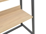 ΒΙΒΛΙΟΘΗΚΗ RYDER PAKOWORLD ΣΕ OAK-ΜΑΥΡΗ ΑΠΟΧΡΩΣΗ 75X36X185ΕΚ