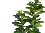 ΔΙΑΚΟΣΜΗΤΙΚΟ ΦΥΤΟ FIDDLEHEAD I ΣΕ ΓΛΑΣΤΡΑ INART ΠΡΑΣΙΝΟ PP Υ180ΕΚ