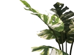 ΔΙΑΚΟΣΜΗΤΙΚΟ ΦΥΤΟ MONSTERA I ΣΕ ΓΛΑΣΤΡΑ INART ΠΡΑΣΙΝΟ PP Υ90ΕΚ