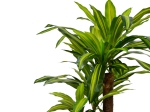 ΔΙΑΚΟΣΜΗΤΙΚΟ ΦΥΤΟ  DRACAENA ΣΕ ΓΛΑΣΤΡΑ INART ΠΡΑΣΙΝΟ PP Υ110ΕΚ