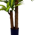 ΔΙΑΚΟΣΜΗΤΙΚΟ ΦΥΤΟ  DRACAENA ΣΕ ΓΛΑΣΤΡΑ INART ΠΡΑΣΙΝΟ PP Υ110ΕΚ