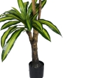 ΔΙΑΚΟΣΜΗΤΙΚΟ ΦΥΤΟ DRACAENA I ΣΕ ΓΛΑΣΤΡΑ INART  ΠΡΑΣΙΝΟ PP Υ170ΕΚ