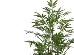 ΔΙΑΚΟΣΜΗΤΙΚΟ ΦΥΤΟ BAMBOO I ΣΕ ΓΛΑΣΤΡΑ INART ΠΡΑΣΙΝΟ PP Υ150ΕΚ