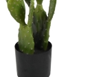 ΔΙΑΚΟΣΜΗΤΙΚΟ ΦΥΤΟ CACTUS ΣΕ ΓΛΑΣΤΡΑ INART ΠΡΑΣΙΝΟ PP Υ64ΕΚ