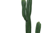 ΔΙΑΚΟΣΜΗΤΙΚΟ ΦΥΤΟ CACTUS I ΣΕ ΓΛΑΣΤΡΑ INART ΠΡΑΣΙΝΟ PP Υ155ΕΚ