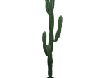 ΔΙΑΚΟΣΜΗΤΙΚΟ ΦΥΤΟ CACTUS I ΣΕ ΓΛΑΣΤΡΑ INART ΠΡΑΣΙΝΟ PP Υ155ΕΚ
