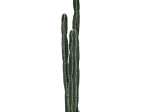 ΔΙΑΚΟΣΜΗΤΙΚΟ ΦΥΤΟ CACTUS II ΣΕ ΓΛΑΣΤΡΑ INART ΠΡΑΣΙΝΟ PP Υ155ΕΚ