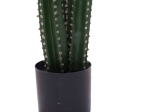 ΔΙΑΚΟΣΜΗΤΙΚΟ ΦΥΤΟ CACTUS III ΣΕ ΓΛΑΣΤΡΑ INART ΠΡΑΣΙΝΟ PP Υ85ΕΚ