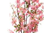 ΔΙΑΚΟΣΜΗΤΙΚΟ ΦΥΤΟ PEACH FLOWER ΣΕ ΓΛΑΣΤΡΑ INART ΡΟΖ PP Υ140ΕΚ
