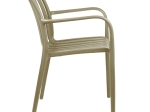 ΠΟΛΥΘΡΟΝΑ ZOI PAKOWORLD PP ΣΕ CAPPUCINO ΑΠΟΧΡΩΣΗ 58.5X54X80ΕΚ