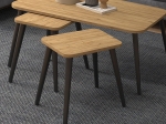 ΤΡΑΠΕΖΑΚΙ ΣΑΛΟΝΙΟΥ ΣΕΤ 3 ΤΜΧ OLIVA MEGAPAP ΧΡΩΜΑ OAK 90X55X46ΕΚ.