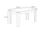 ΤΡΑΠΕΖΙ DENZEL MEGAPAP ΧΡΩΜΑ ΓΚΡΙ ΣΚΥΡΟΔΕΜΑΤΟΣ 120X80X76ΕΚ.
