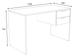 ΓΡΑΦΕΙΟ ΕΡΓΑΣΙΑΣ KADA MEGAPAP ΧΡΩΜΑ ΛΕΥΚΟ 120X60X75ΕΚ.