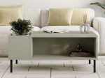 ΤΡΑΠΕΖΑΚΙ ΣΑΛΟΝΙΟΥ VENA MEGAPAP ΧΡΩΜΑ ASH GREEN 100X60X42ΕΚ.