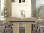 ΤΡΑΠΕΖΙ LAVA MEGAPAP ΧΡΩΜΑ ROTA OAK - ΑΝΘΡΑΚΙ 180X90X76,8ΕΚ.