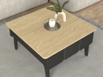 ΤΡΑΠΕΖΑΚΙ ΣΑΛΟΝΙΟΥ PEDRO MEGAPAP ΧΡΩΜΑ ΑΝΘΡΑΚΙ - ROTA OAK 73,2X73,2X38,6ΕΚ.