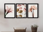 ΠΙΝΑΚΑΣ "PINK FLOWERS" MEGAPAP 3 ΤΜΧ. ΣΕ ΠΛΑΙΣΙΟ 35X45X2ΕΚ.
