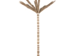 ΔΙΑΚΟΣΜΗΤΙΚΟ ΔΕΝΤΡΟ TROPIC HM4322 τ.ΦΟΙΝΙΚΑ ΑΠΟ MENDONG GRASS 360Yεκ.