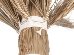 ΔΙΑΚΟΣΜΗΤΙΚΟ ΔΕΝΤΡΟ TROPIC HM4322 τ.ΦΟΙΝΙΚΑ ΑΠΟ MENDONG GRASS 360Yεκ.