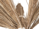 ΔΙΑΚΟΣΜΗΤΙΚΟ ΔΕΝΤΡΟ TROPIC HM4322 τ.ΦΟΙΝΙΚΑ ΑΠΟ MENDONG GRASS 360Yεκ.