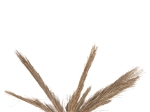 ΔΙΑΚΟΣΜΗΤΙΚΟ ΔΕΝΤΡΟ TROPIC HM4323 τ.ΦΟΙΝΙΚΑ ΑΠΟ MENDONG GRASS 310Yεκ.
