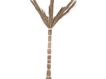 ΔΙΑΚΟΣΜΗΤΙΚΟ ΔΕΝΤΡΟ TROPIC HM4324 τ.ΦΟΙΝΙΚΑ ΑΠΟ MENDONG GRASS 280Yεκ.