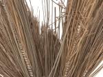 ΔΙΑΚΟΣΜΗΤΙΚΟ ΔΕΝΤΡΟ TROPIC HM4324 τ.ΦΟΙΝΙΚΑ ΑΠΟ MENDONG GRASS 280Yεκ.