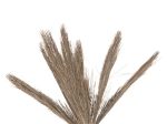 ΔΙΑΚΟΣΜΗΤΙΚΟ ΔΕΝΤΡΟ TROPIC HM4325 τ.ΦΟΙΝΙΚΑ ΑΠΟ MENDONG GRASS 210Yεκ.